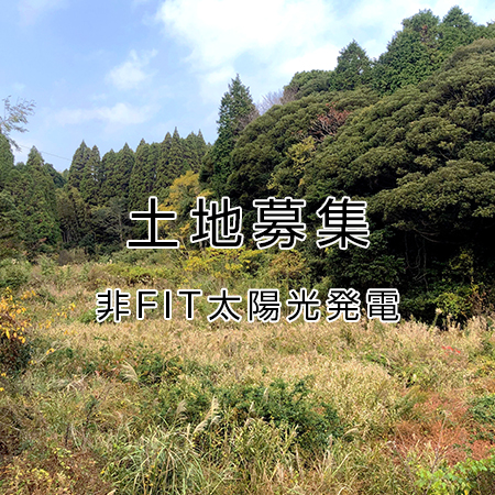 �����罸